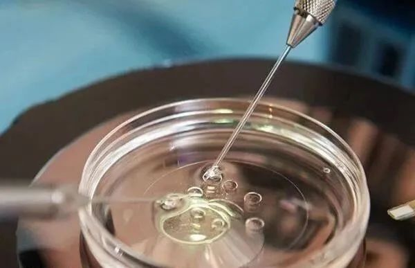 泰国顶级试管婴儿医院详解