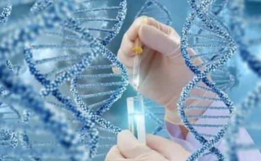 深入剖析泰国试管婴儿费用构成比例表
