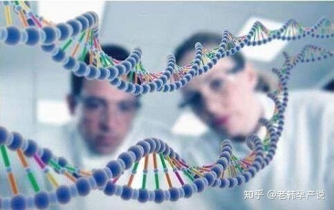 深度揭秘泰国试管婴儿骗局套路