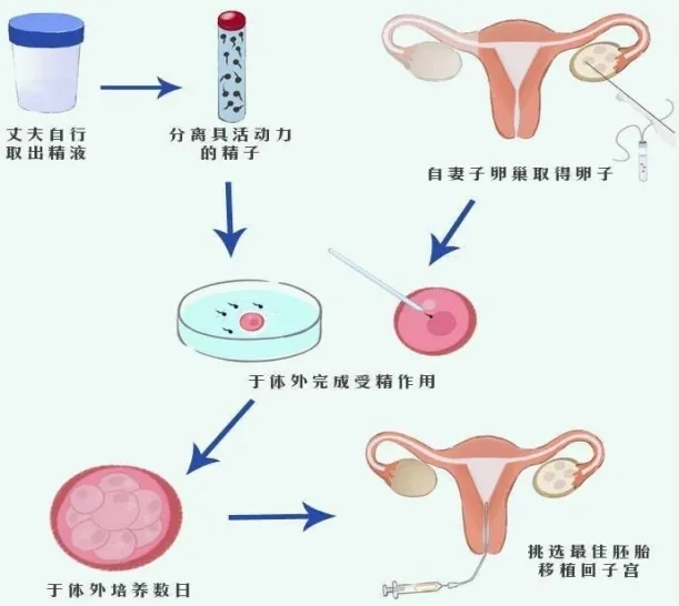 格鲁吉亚月子中心能只照顾孩子吗？助孕家庭的托管服务全解析