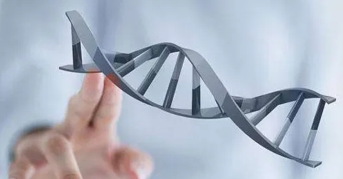 格鲁吉亚助孕价格，全面解析与避坑指南