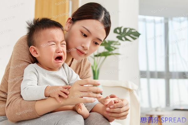 单身女性做试管违法吗-揭秘海外试管背后的真相与抉择