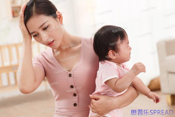 两个男人生孩子-一份十年助孕顾问的跨境生育指南