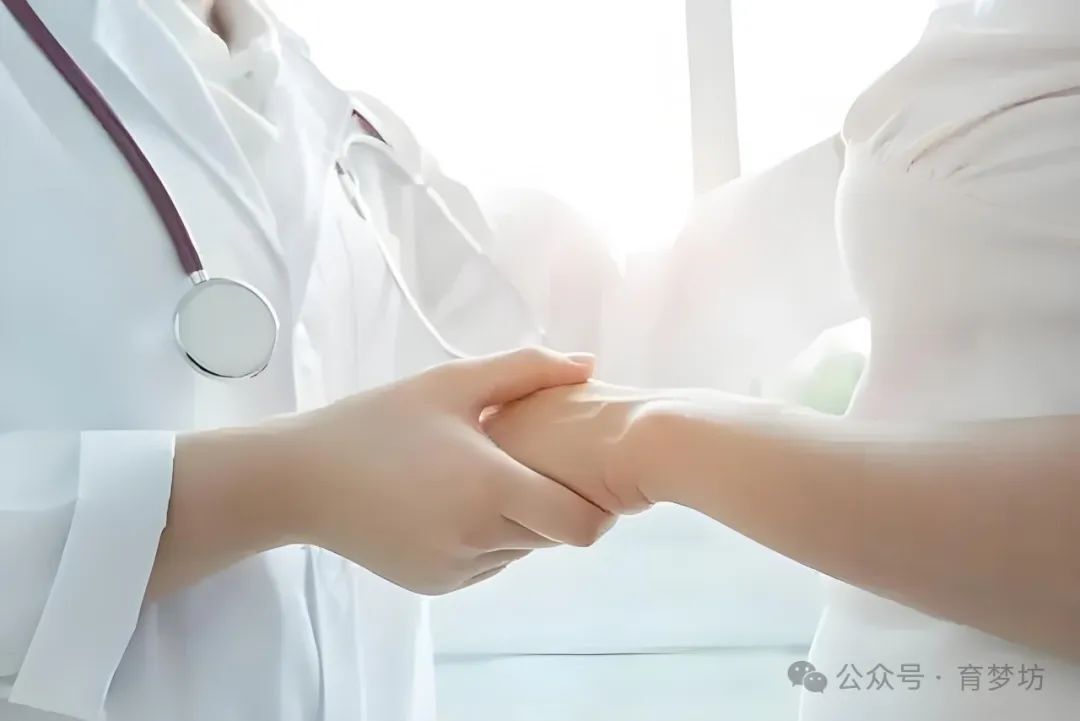 美泰冻卵技术选择-一位海外顾问的真心话