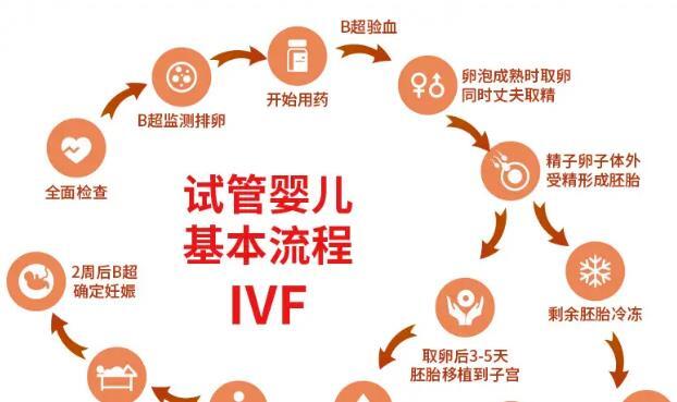深入哈萨克斯坦irm生殖中心官网-一位十年助孕顾问的实用笔记