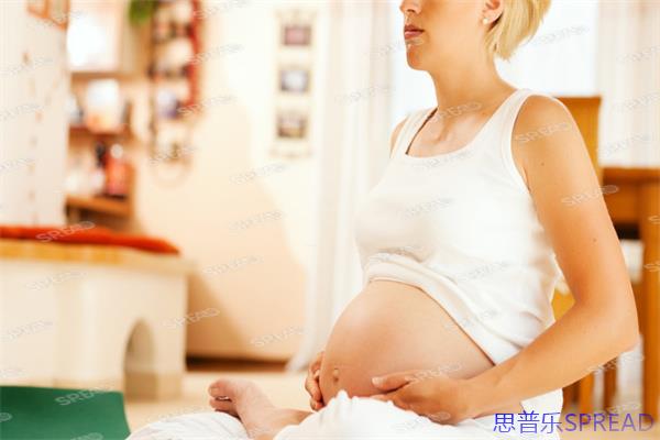 帕亚泰是拉查医院-一位助孕顾问的真情分享-助您拥抱生命奇迹