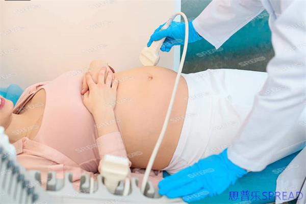 格鲁吉亚未婚助孕-十年顾问的真话与老友支招