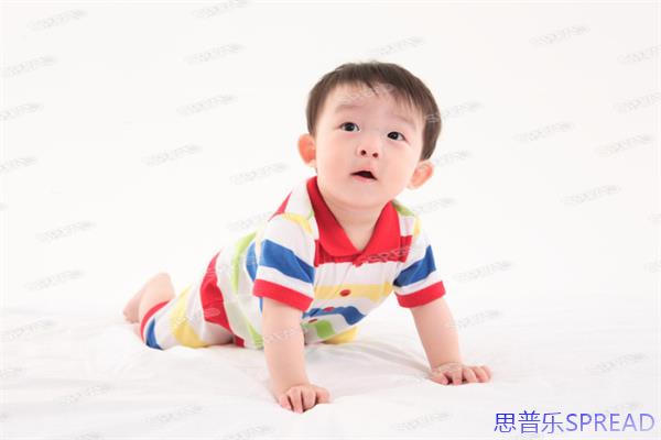 助孕这条路上的温暖与清醒-美国政策地图-我与你的十年心得