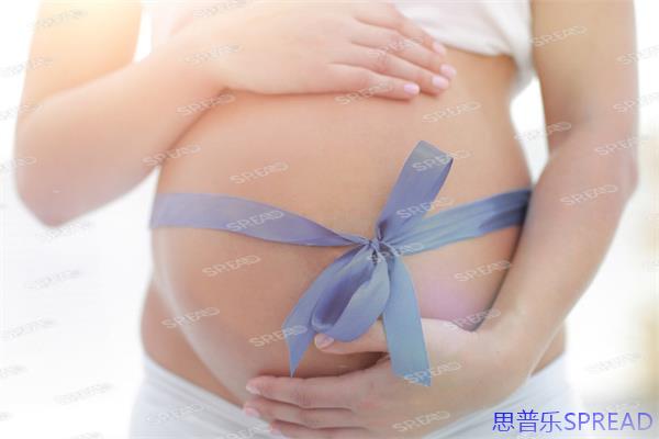 执行要点说明