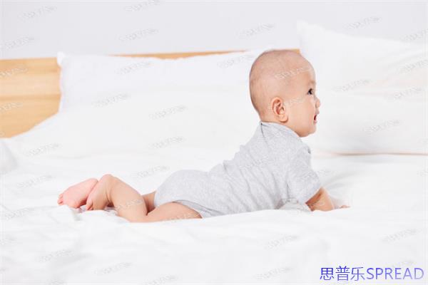 格鲁吉亚助孕合同里的雷区-这10年老兵的血泪经验给你提个醒