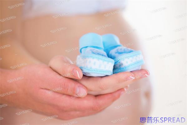 单身妈妈的试管之路-政策围城下的突围指南