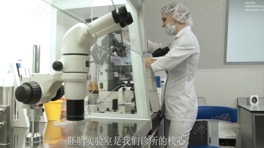 泰国试管双胞胎概率-数据背后的真实考量