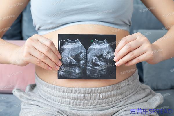 格鲁吉亚助孕新政风暴眼-一位老友的深夜真心话