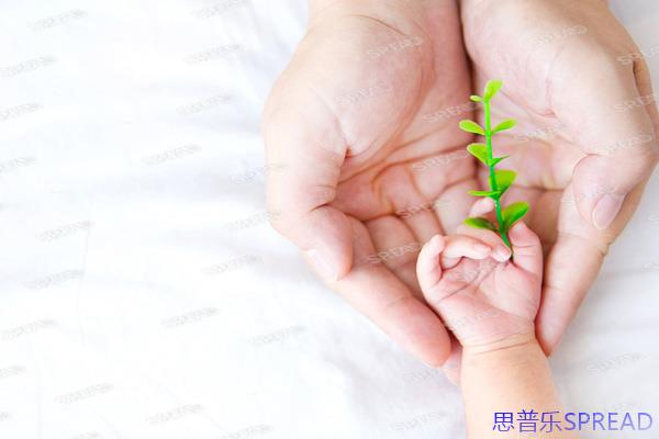 单身女性去格鲁吉亚生子要花多少钱-十年顾问掏心窝子跟你算这笔账-附真实避坑指南