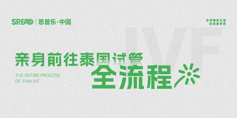 思普乐客户亲身前往泰国试管全流程