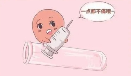 马来西亚：从前期准备到移植成功，你必须知道的15个关键事项