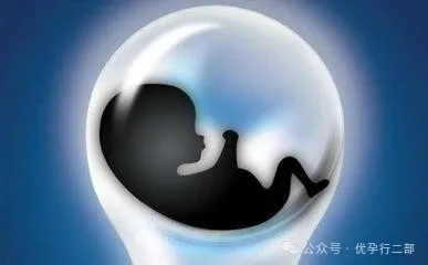 640_wx_fmt=jpeg&from=appmsg&tp=webp&wxfrom=5&wx_lazy=1&wx_co=1.webp (83).jpg
