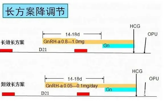 大龄上海赴泰国试管婴儿之旅：比别人更多的努力与坚持