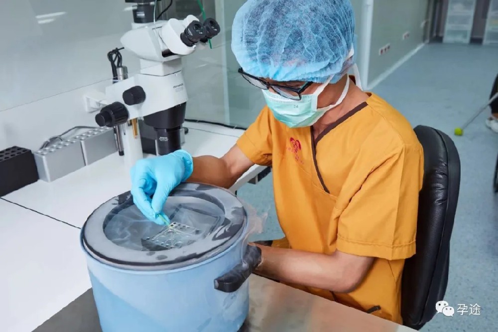 做泰国试管婴儿前做宫腔镜检查有必要嘛?