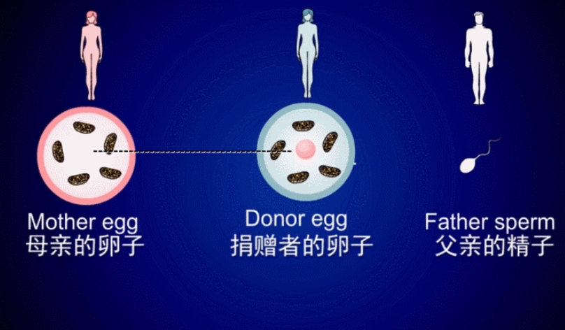 1728534323509023.png 微信截图_20241010122508.png