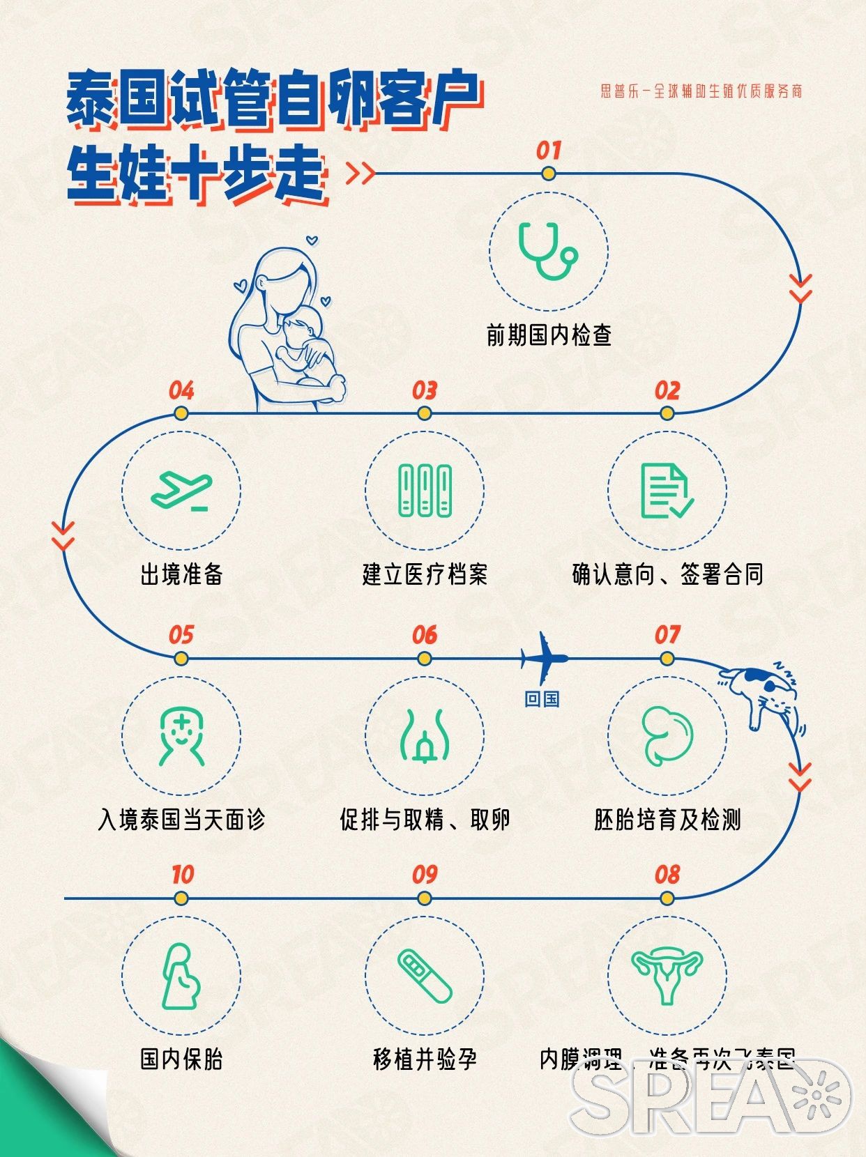 1730860746108888.jpg 泰国自卵流程.jpg