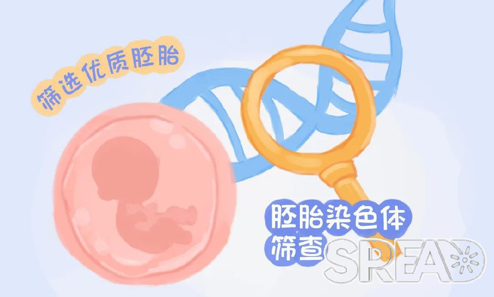 泰国试管优势 | 泰国试管为什么最具性价比？