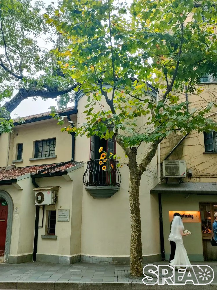 来说说34岁未婚未育女生的真实感受~