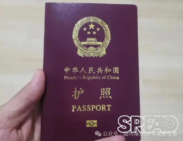 2025年赴格鲁吉亚做试管婴儿签证办理攻略：整个流程5步搞定
