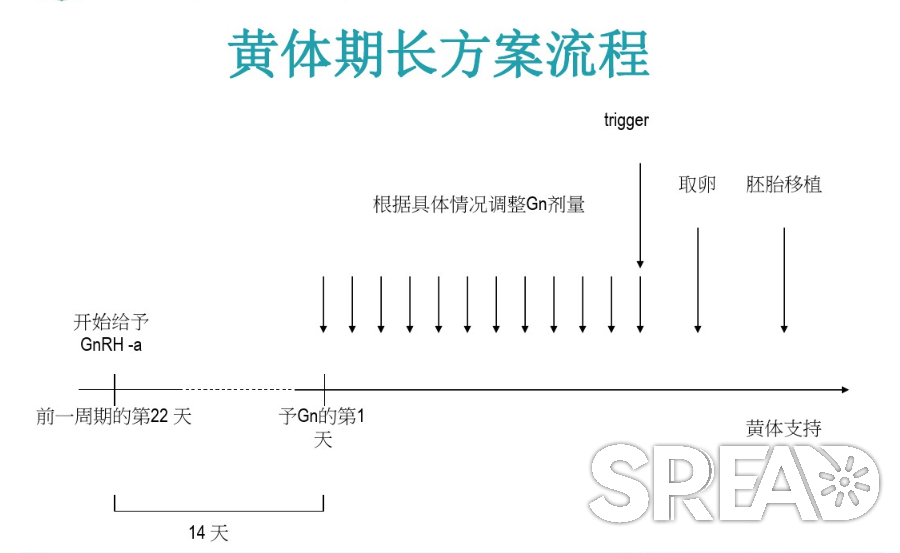 泰国试管婴儿的各种方案，哪个更适合您？