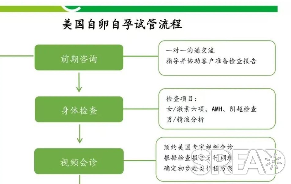 2025年想去美国做试管，超详细全流程！