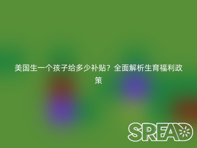 美国生一个孩子给多少补贴？全面解析生育福利政策