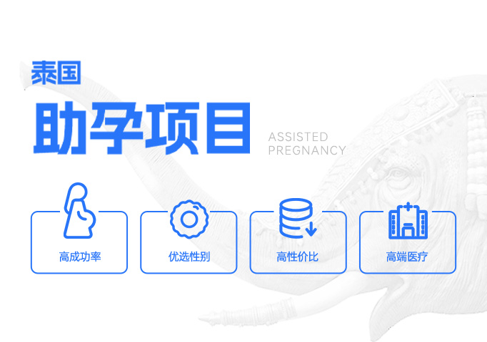 泰国试管助孕机构