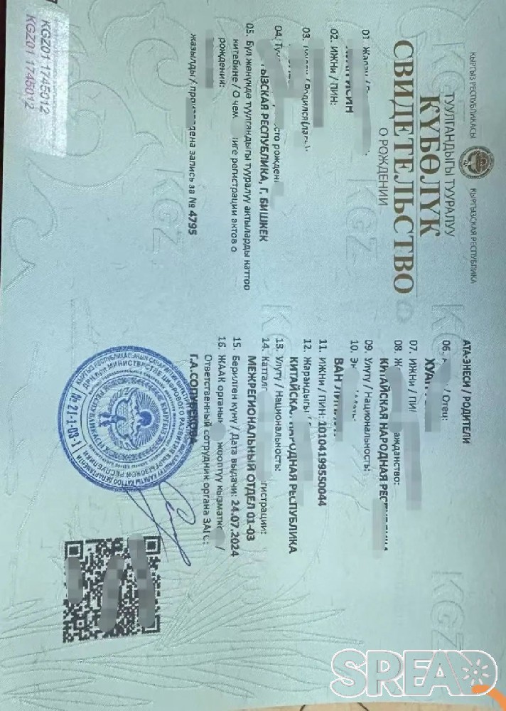 吉尔吉斯斯坦接宝贝回国：罗小姐夫妻跨越国界的助孕之旅！
