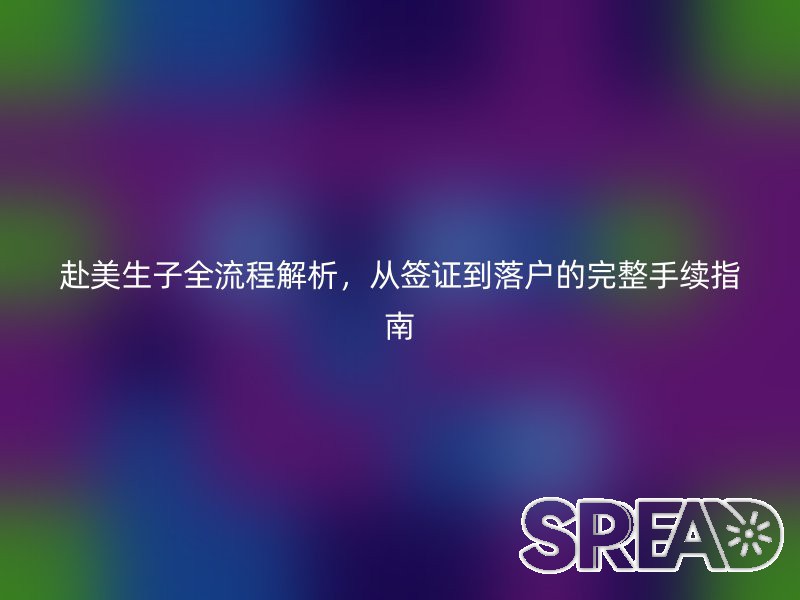 赴美生子全流程解析，从签证到落户的完整手续指南