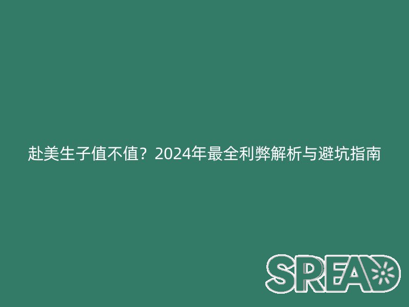 赴美生子值不值？2025年最全利弊解析与避坑指南