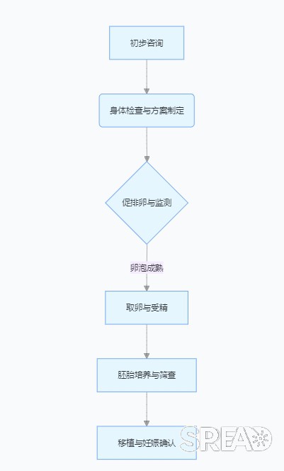 格鲁吉亚医院排名解析，医疗旅游与辅助生育的双重选择