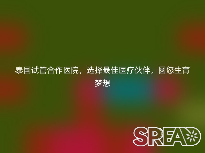 泰国试管合作医院，选择最佳医疗伙伴，圆您生育梦想