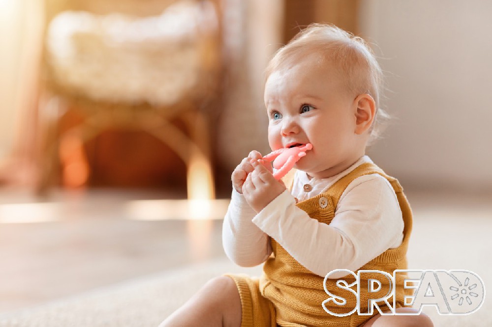 iStock-2000890004.jpg