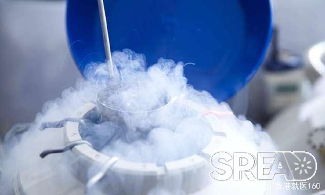香港冻卵5年费用全解析，如何科学规划你的生育力储备？