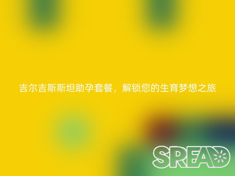 吉尔吉斯斯坦助孕套餐，解锁您的生育梦想之旅