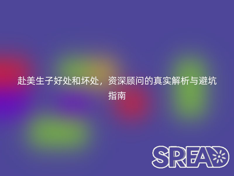 赴美生子好处和坏处，资深顾问的真实解析与避坑指南