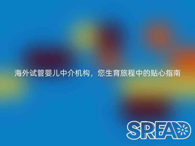 海外试管婴儿中介机构，您生育旅程中的贴心指南