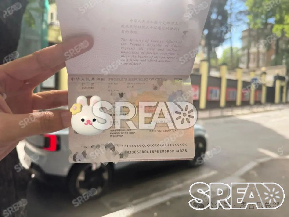 格鲁吉亚出生宝宝护照办理保姆级攻略！附 13 项材料清单 + 使馆时间轴