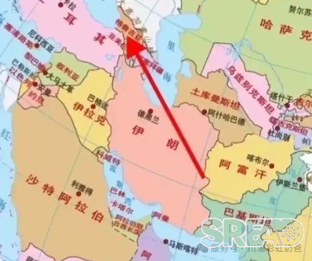 格鲁吉亚助孕常见套路大揭秘！看完这篇避坑指南帮你省下一大笔丨彩虹奶爸