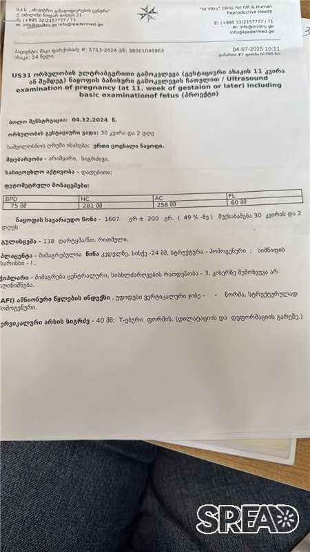 企业微信截图_17516207294731.jpg